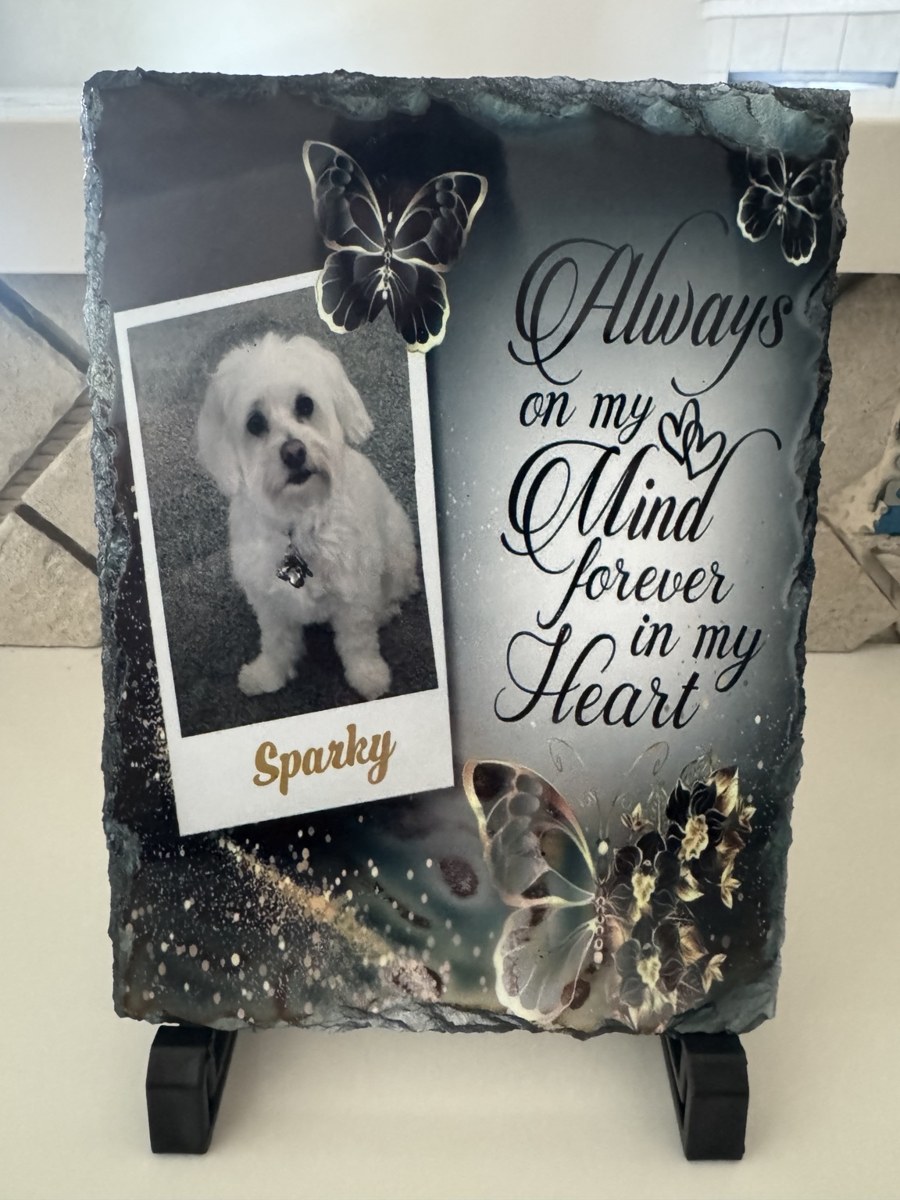 Spunky dog memorial plaque
